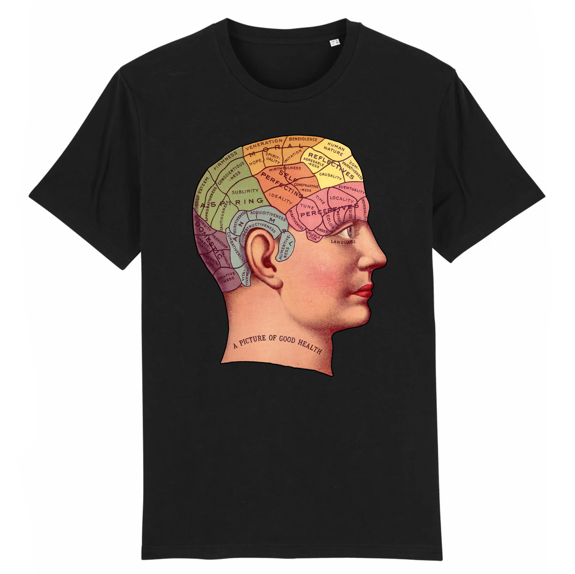 Phrénologie - T-shirt en coton bio