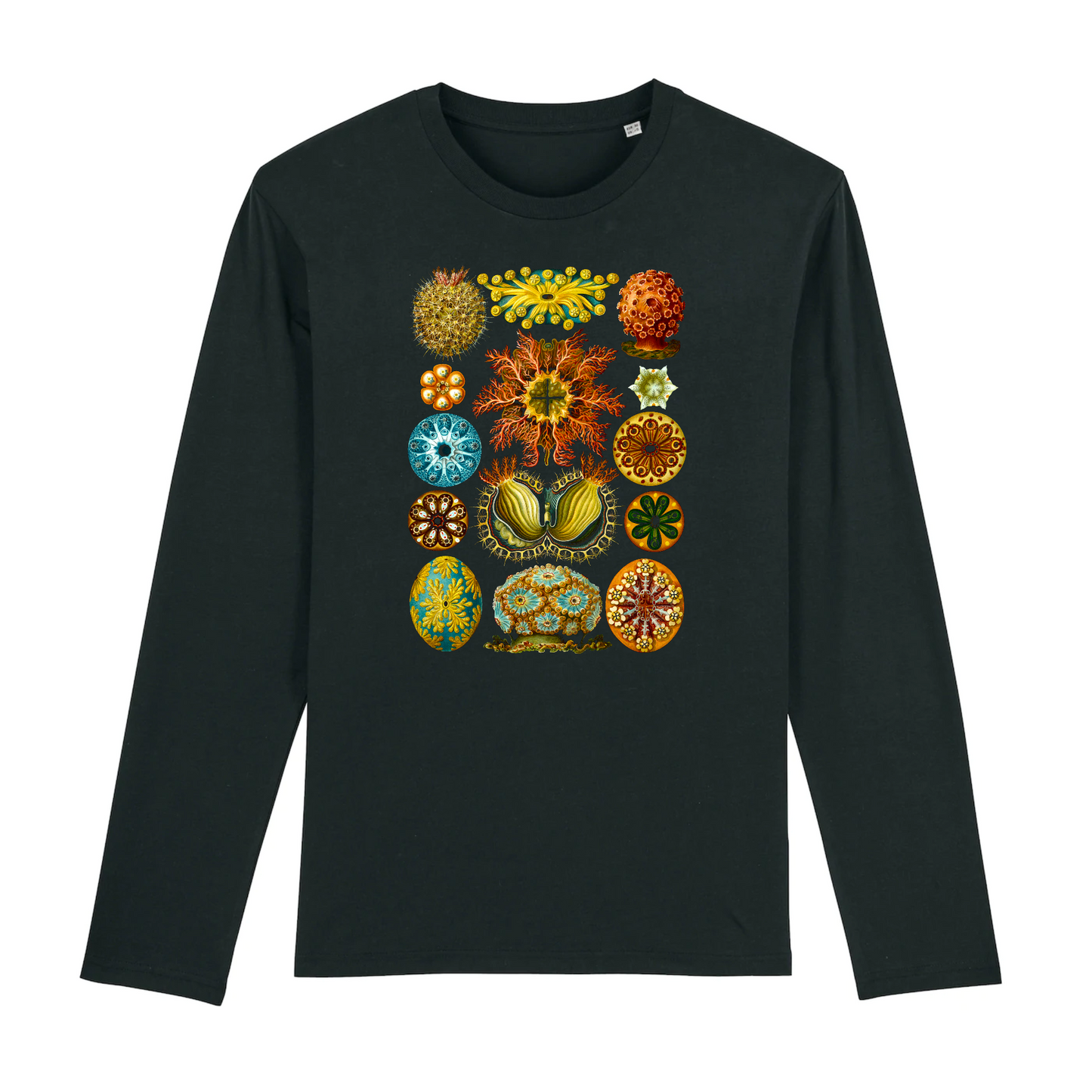 Ascidiae from Ernst Haeckel`s Kunstformen der Natur, 1904 - Organic Cotton Long-Sleeve T-Shirt
