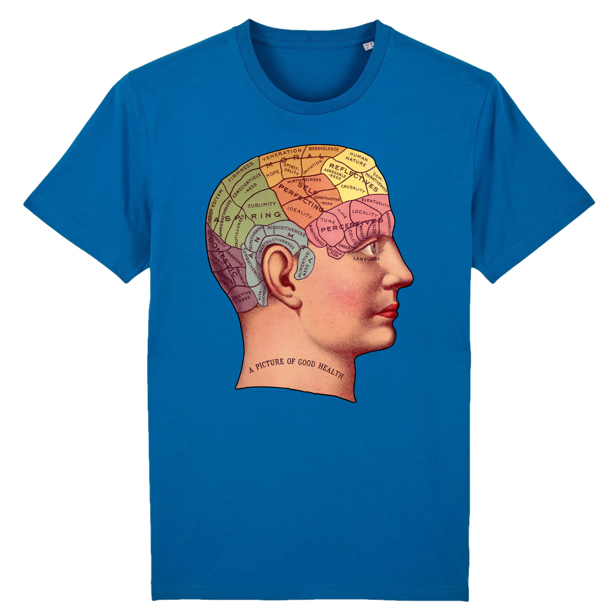 Phrénologie - T-shirt en coton bio