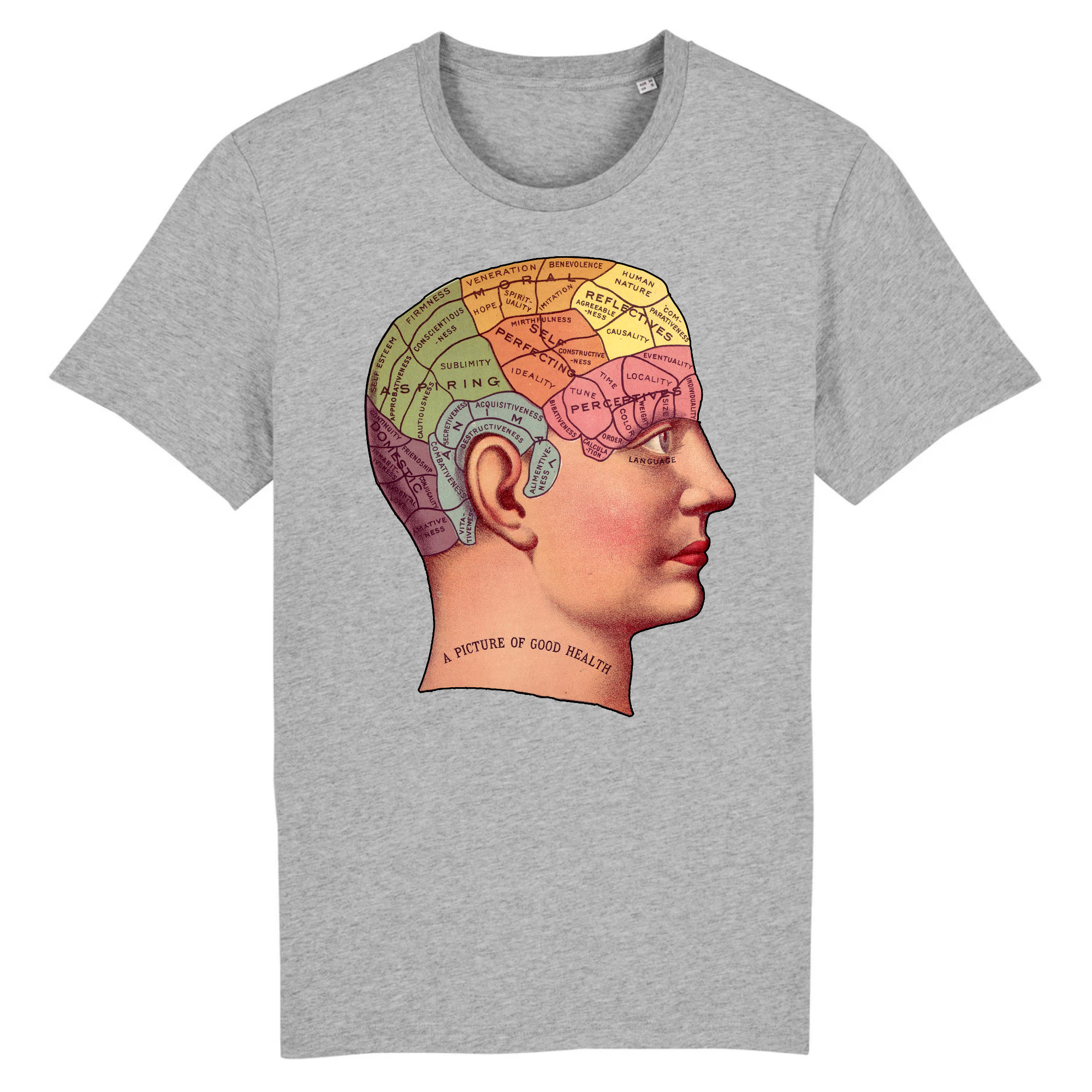 Phrénologie - T-shirt en coton bio