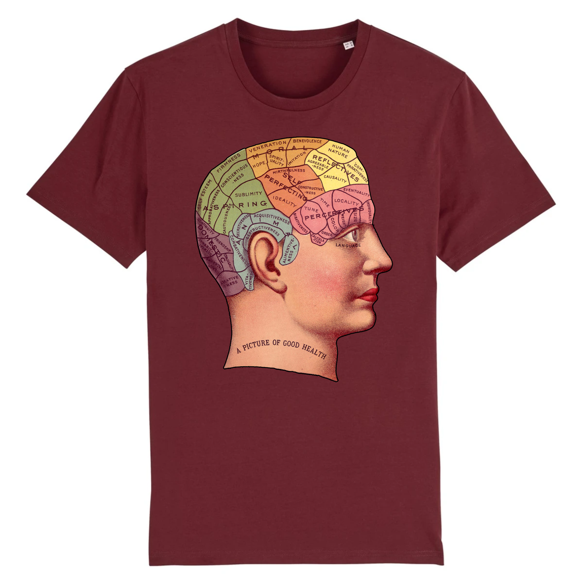 Phrénologie - T-shirt en coton bio