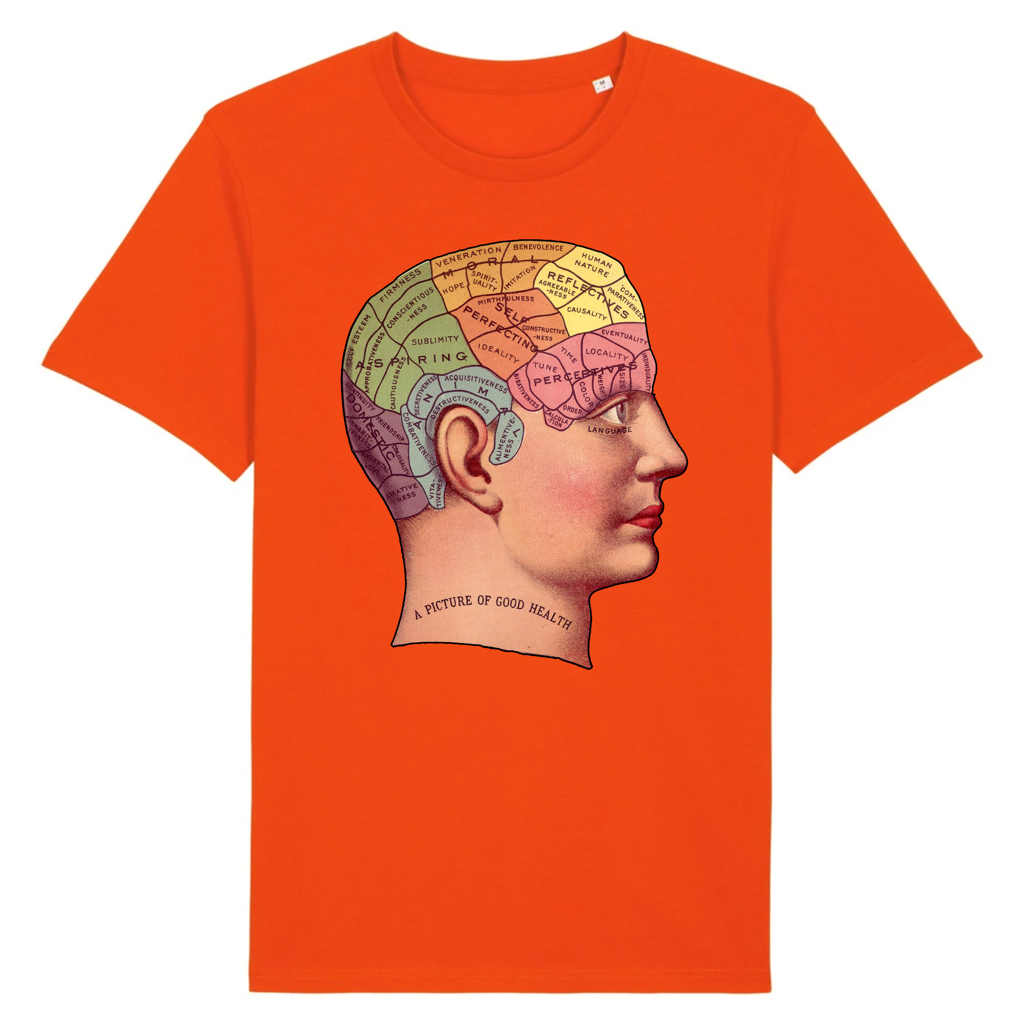 Phrénologie - T-shirt en coton bio