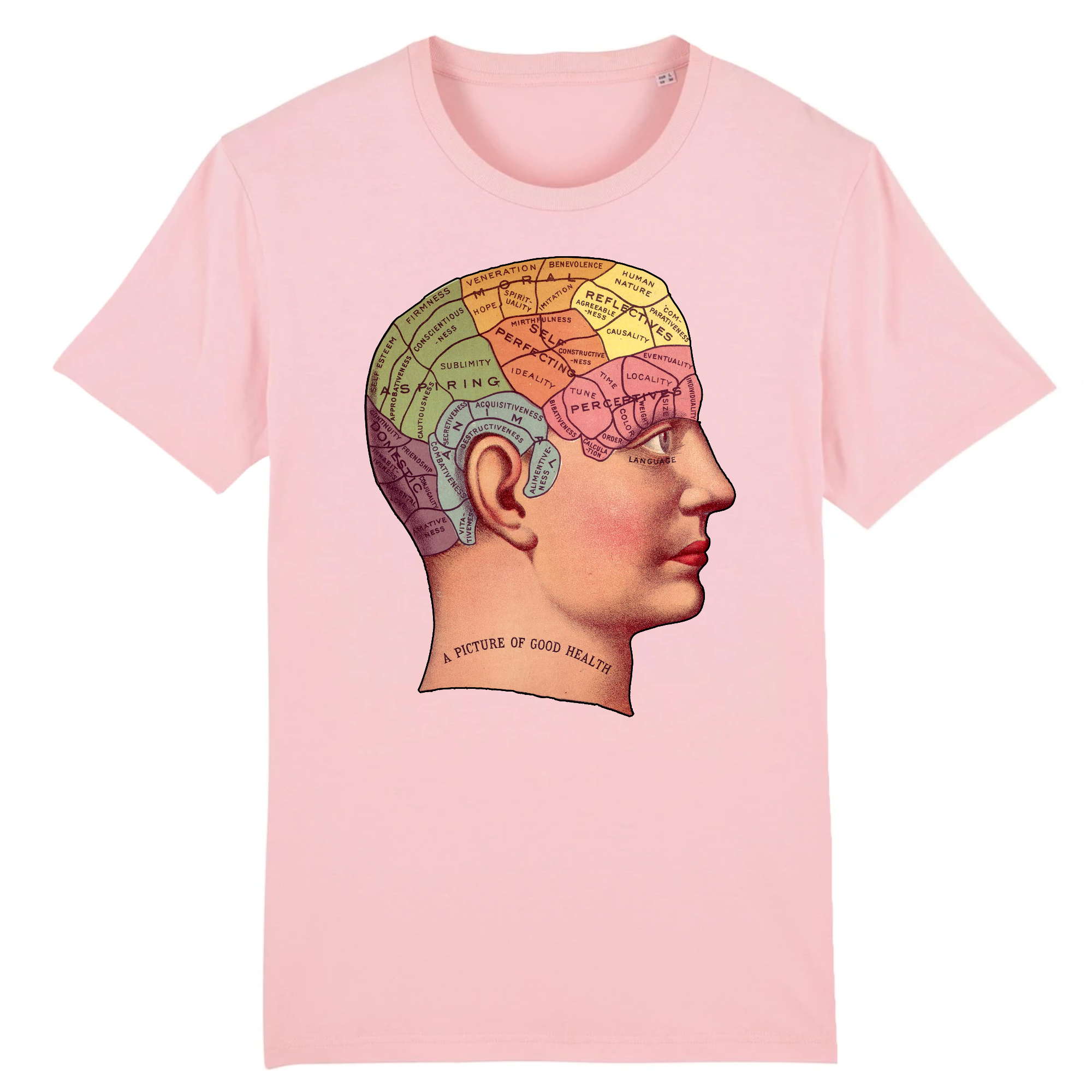 Phrénologie - T-shirt en coton bio