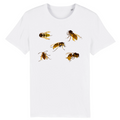 Studies of wasps by Julie de Graag, c. 1915 - Organic Cotton T-Shirt