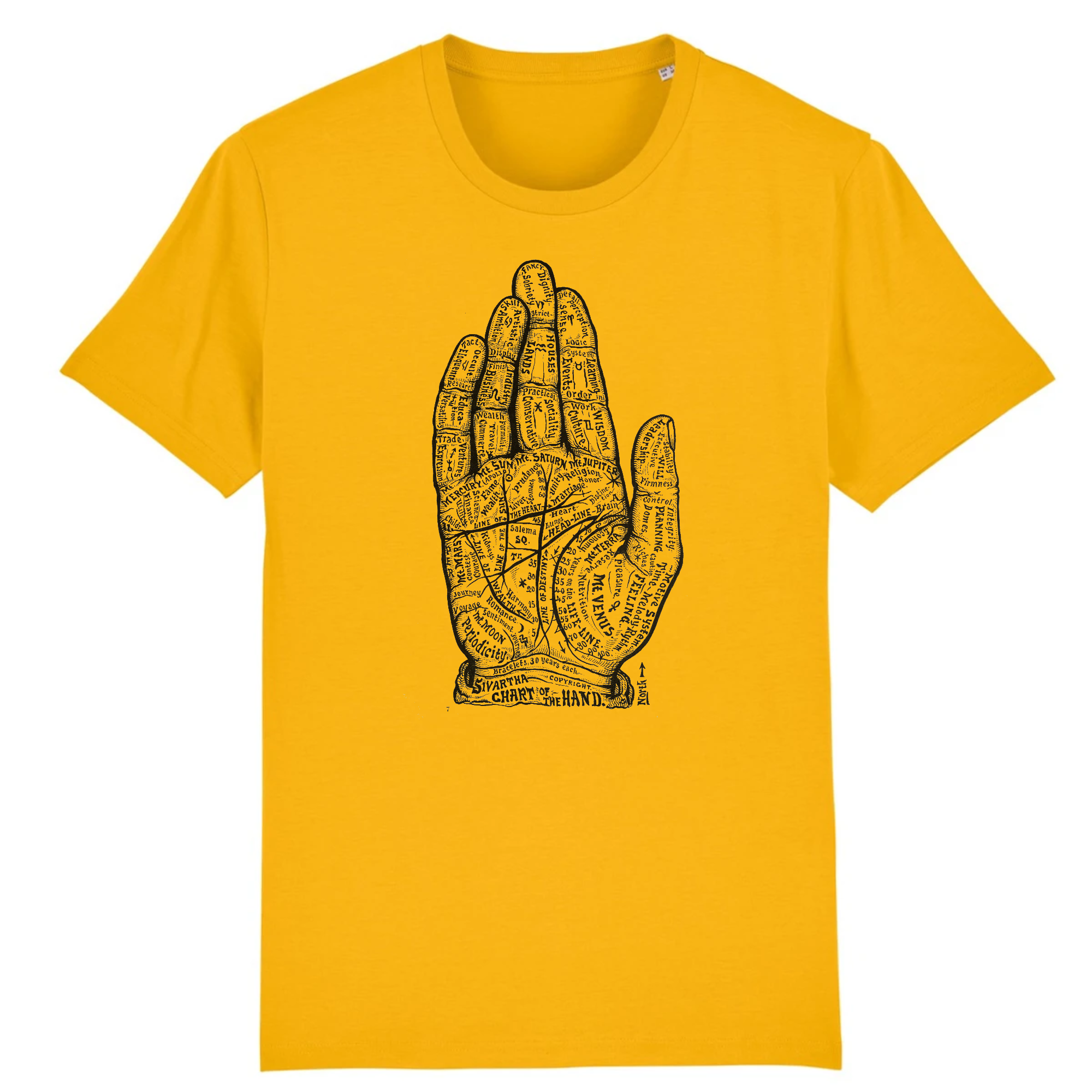 Tableau de la main du livre de vie du Dr Alesha Sivarth, 1898 - T-shirt en coton biologique