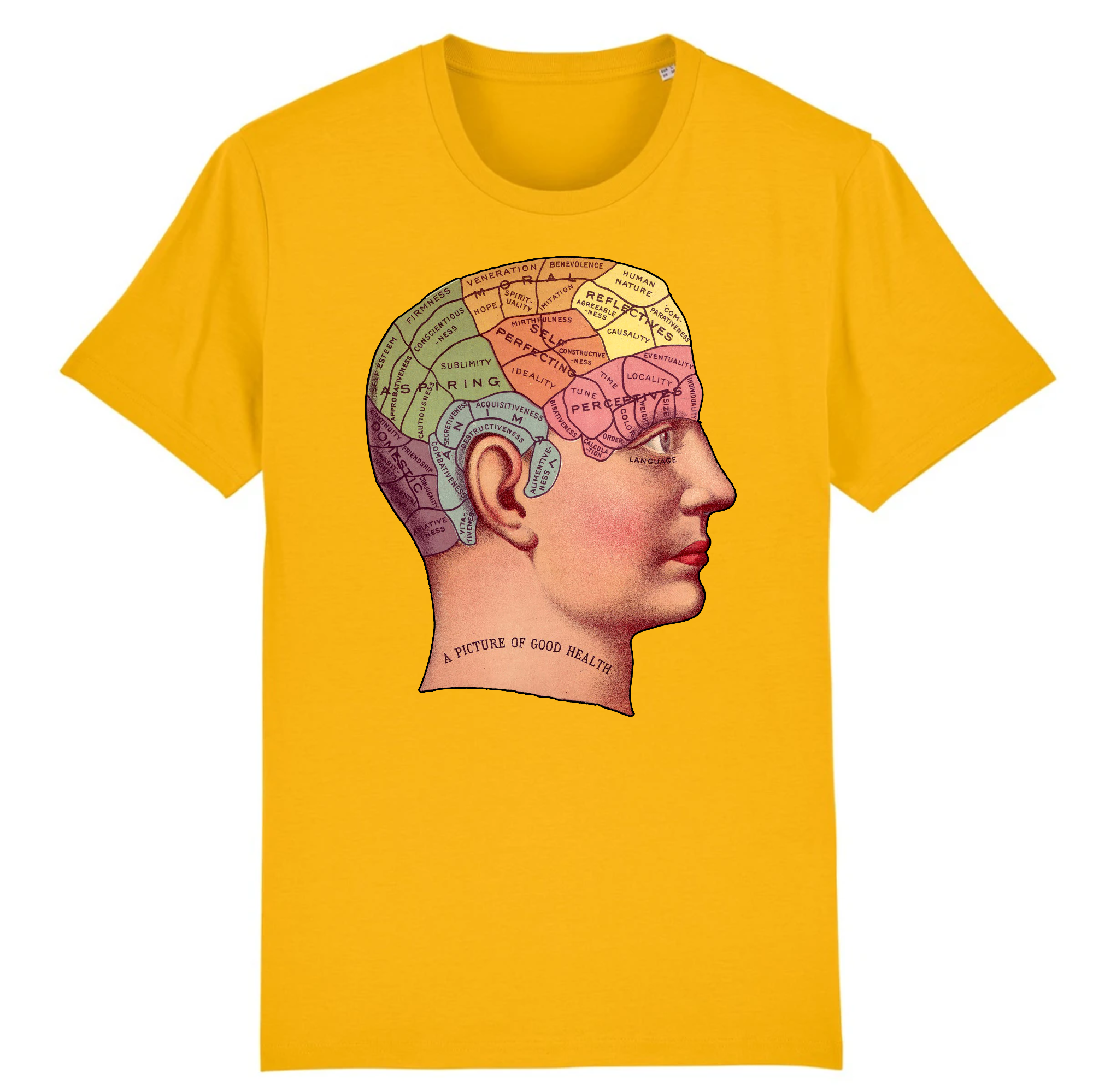 Phrénologie - T-shirt en coton bio