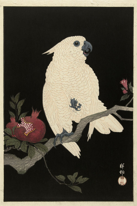 Cockatoo and Pomegranate by Ohara Koson - 1925 - 1936