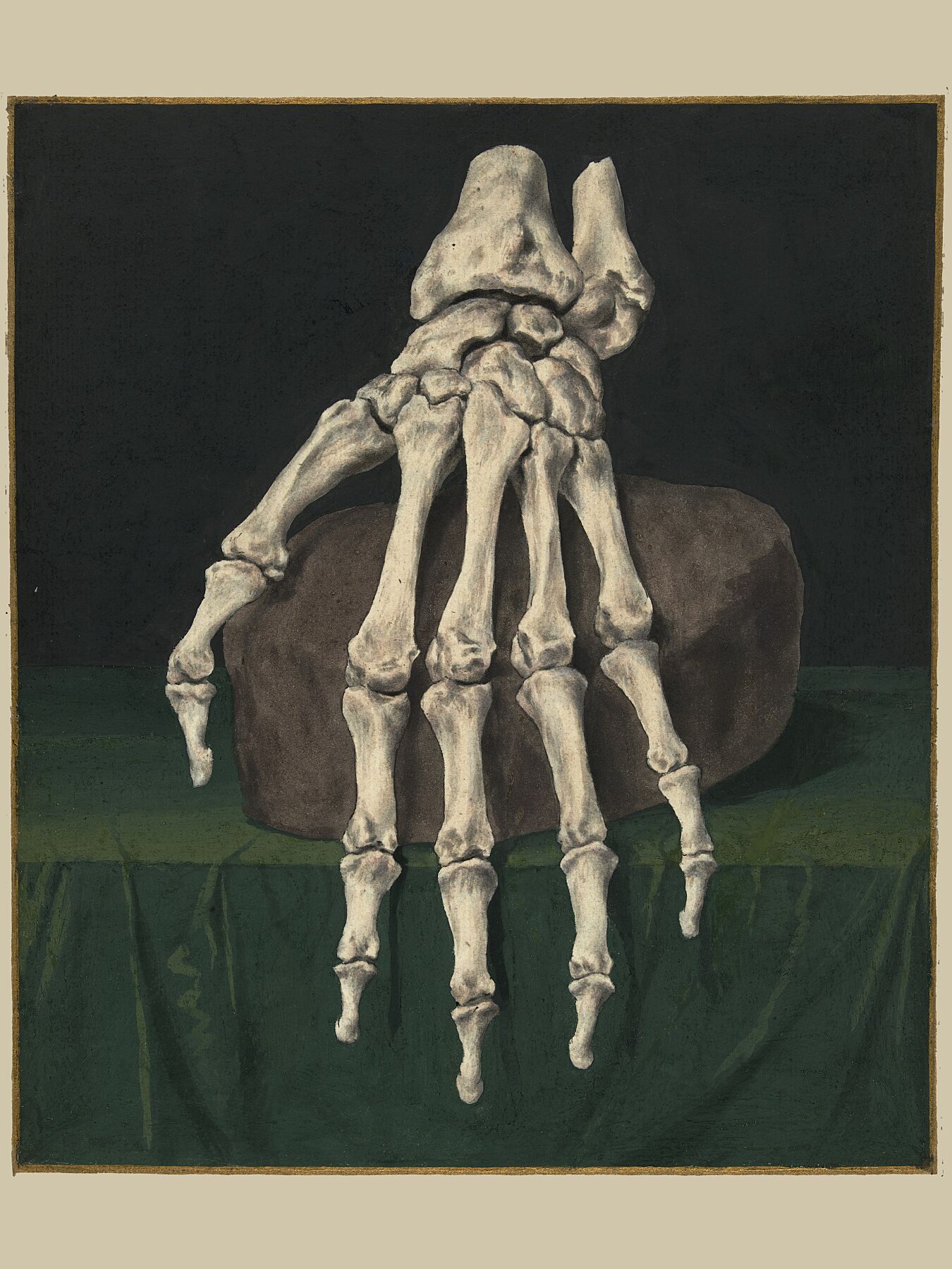 Skeleton of a hand, Jan l'Admiral - c.18th Century