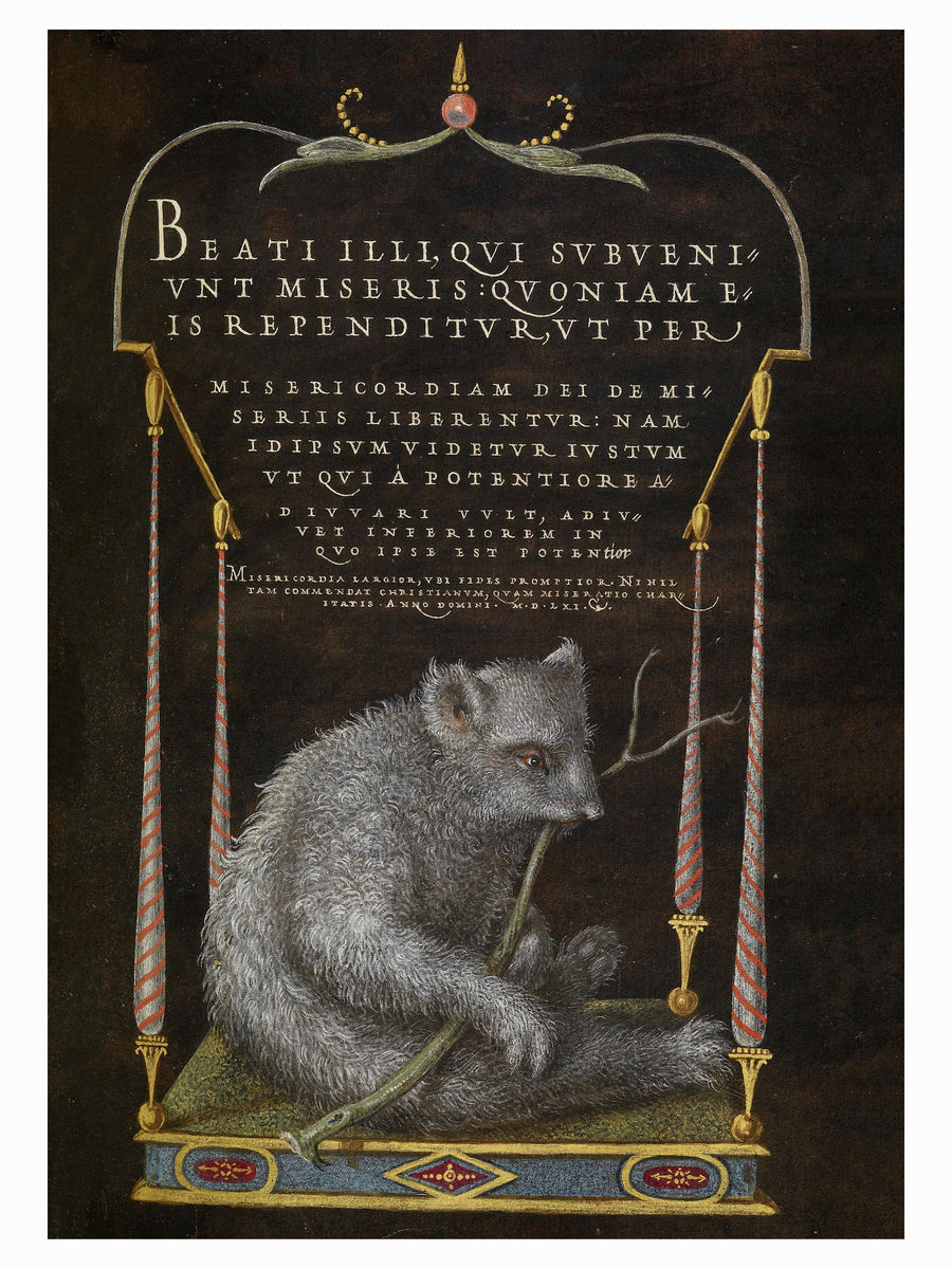Un paresseux de Joris Hoefnagel et Georg Bocskay - 1561-62 