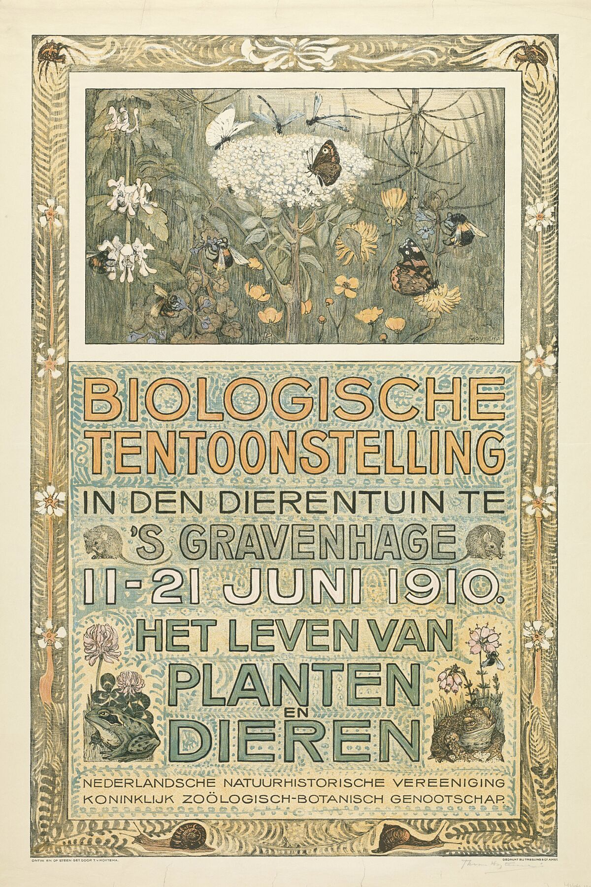 Poster of the Biologische Tentoonstelling (Biological Exhibition), Theo van Hoytema, 1910
