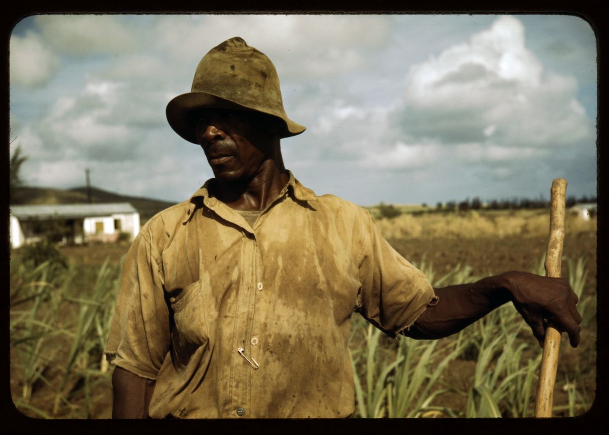 Farmer in Frederiksted, St. Croix, Virgin Islands by Jack Delano - 1941