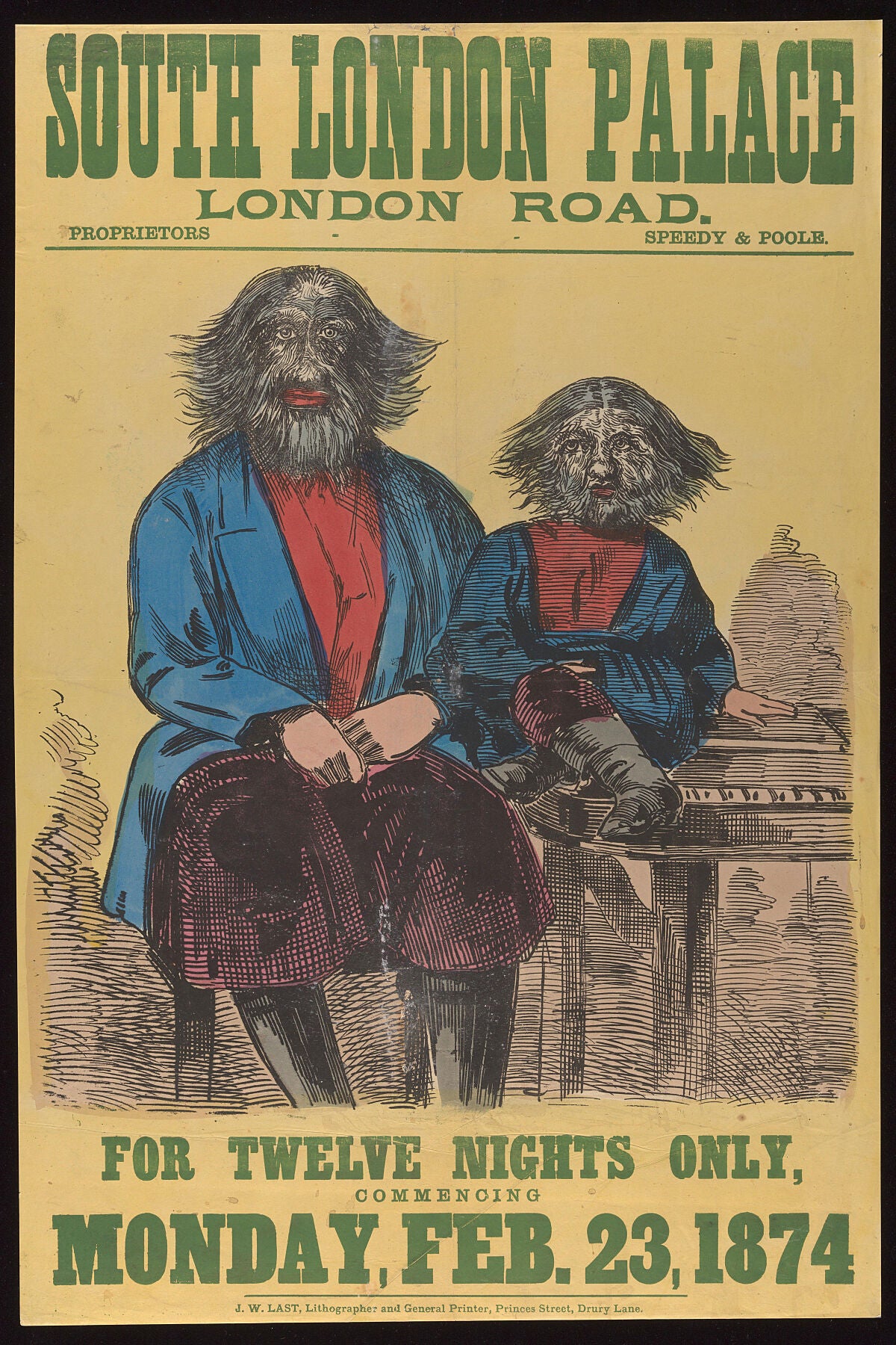 Colour poster advertising an appearance at a freakshow or as part of a variety night by a man and boy (Adrian and Feodor, the 'Kostroma people' from Russia) both of whom were suffering from extreme hypertrichosis of the face.