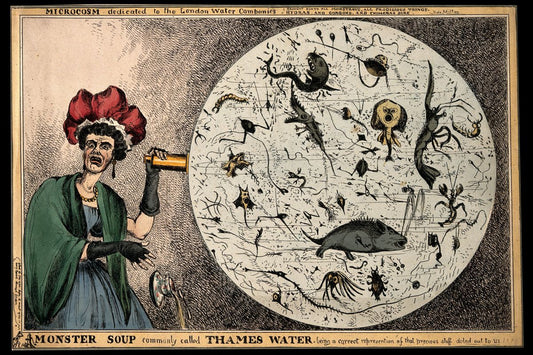 London's Monstrous Drinking Water by W. Heath - 1828