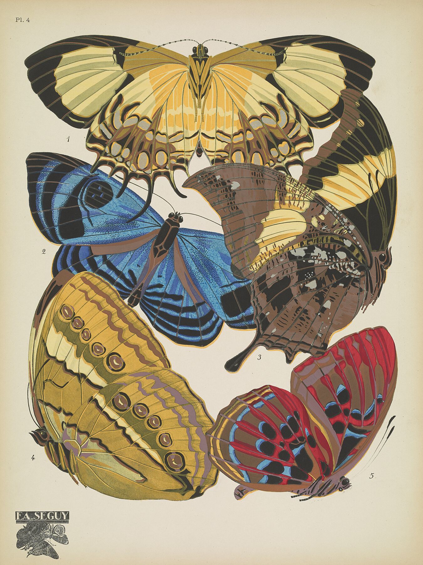 Papillons (planche 4) d'Emile-Allain Séguy - 1925 