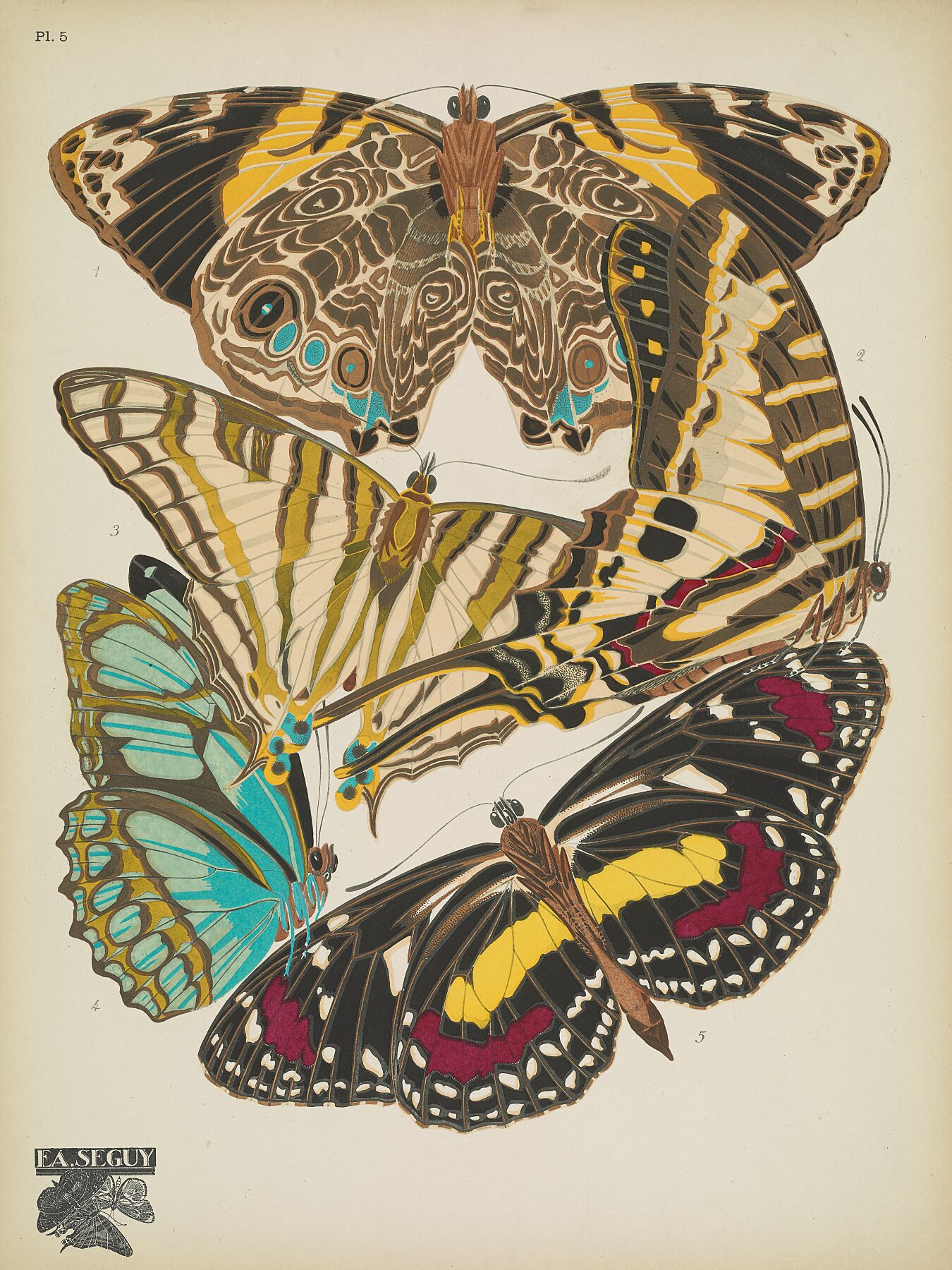 Papillons (planche 5) d'Emile-Allain Séguy - 1925 