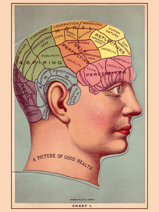 A Picture of Good Health, Phrenology Chart - 1901