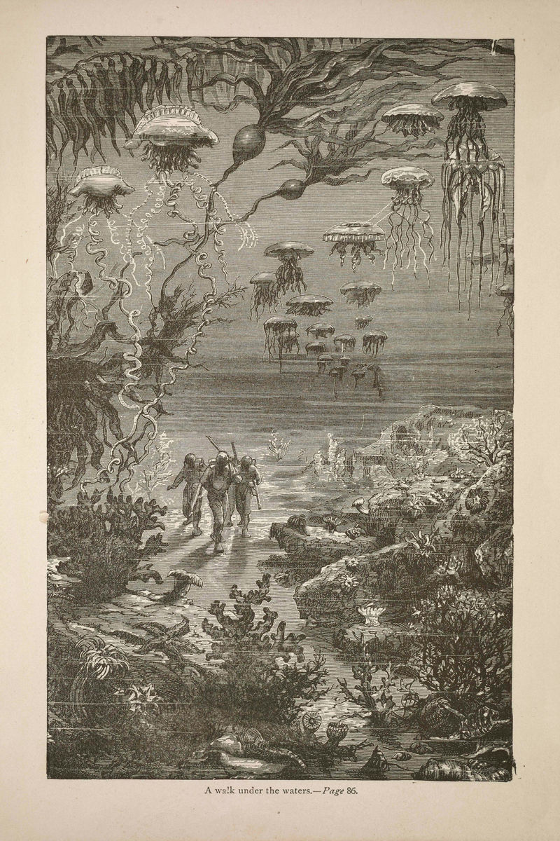 El paisaje submarino de la isla Crespo de Édouard Riou y Alphonse de Neuville - 1871 