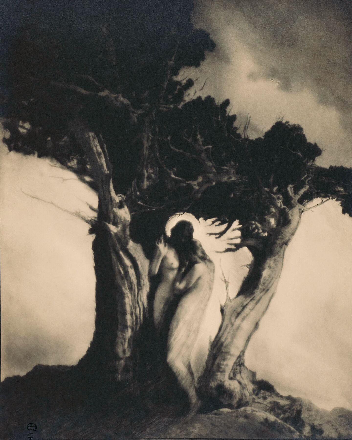 Heart of the Storm by Anne Brigman - c.1912