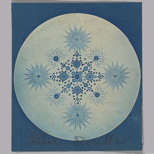 Frústulas de diatomeas de Julius Weisner - 1870