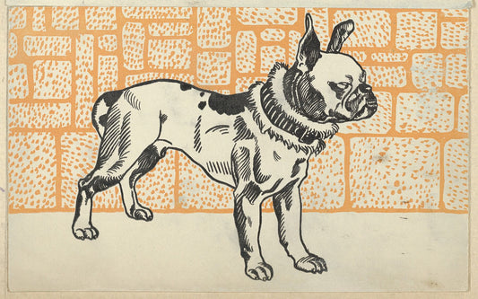 Pitbull Terrier by Moriz Jung - 1912