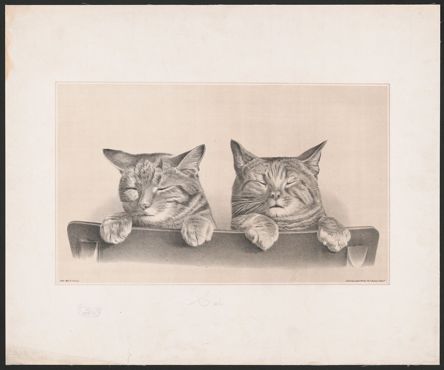 Two Sleeping Cats by Thomas Hunter - 1874