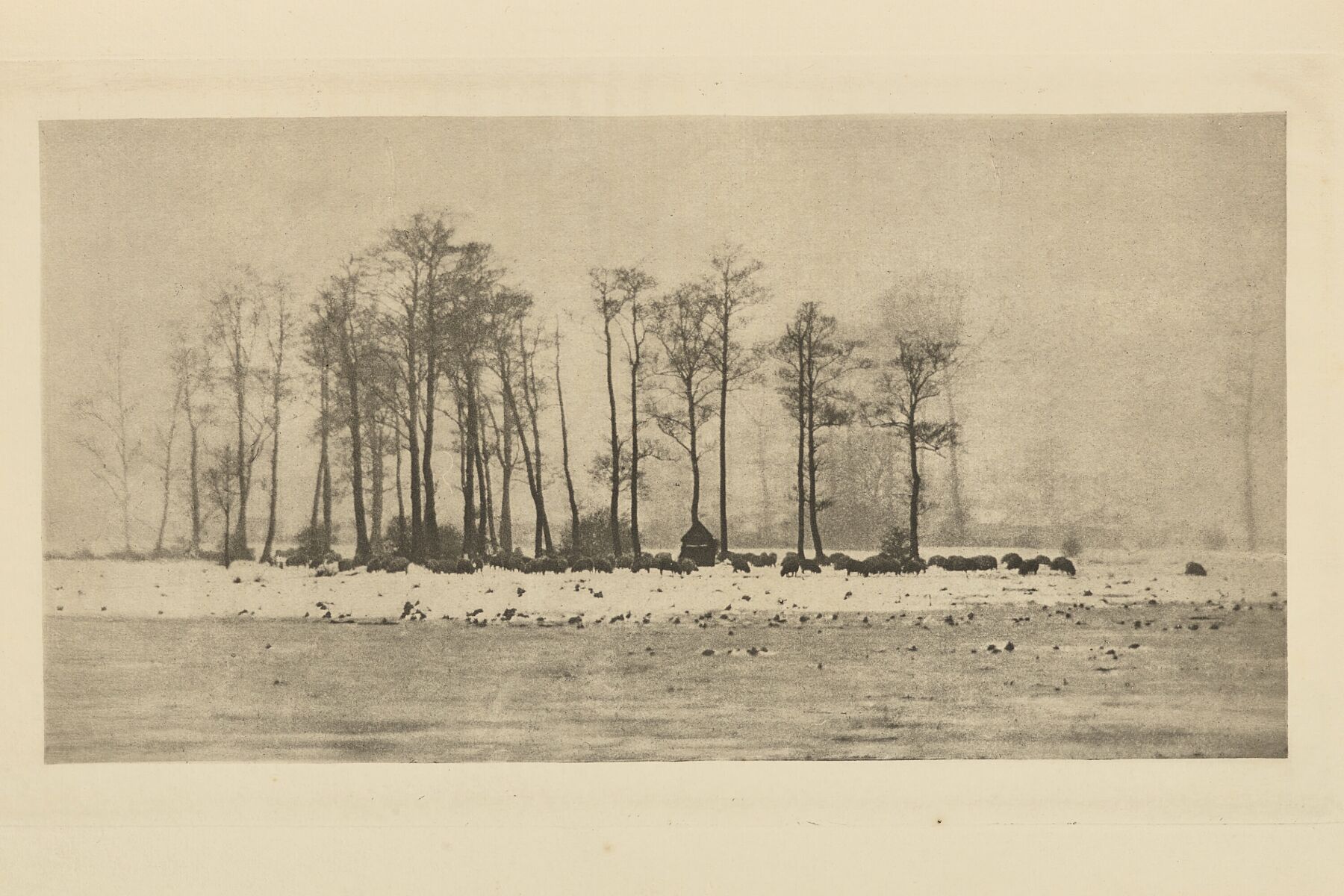A Winter Pastoral by Peter Henry Emerson - 1895