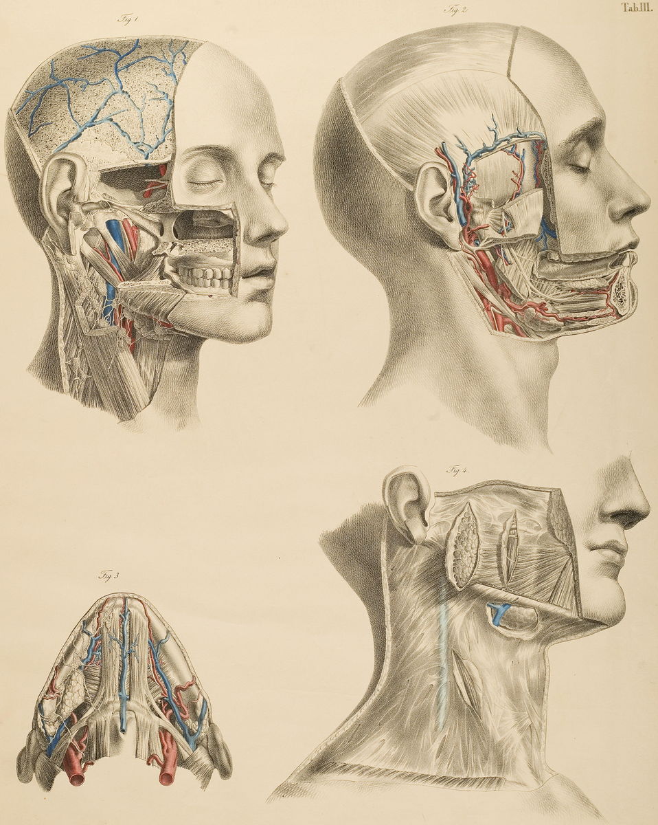 Surgical-Anatomical Tables by Anton Nuhn - 1846
