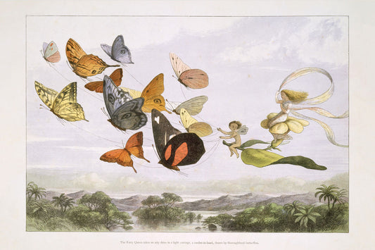 The Fairy Queen Takes an Airy Drive in a Light Carriage by Richard Doyle - 1870