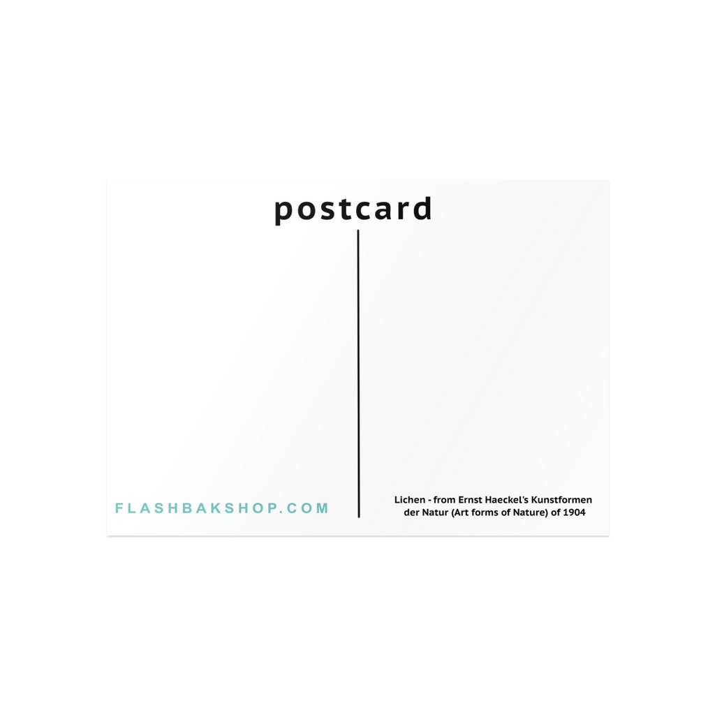 Lichen from Ernst Haeckel's Kunstformen der Natur, 1904 - Postcard