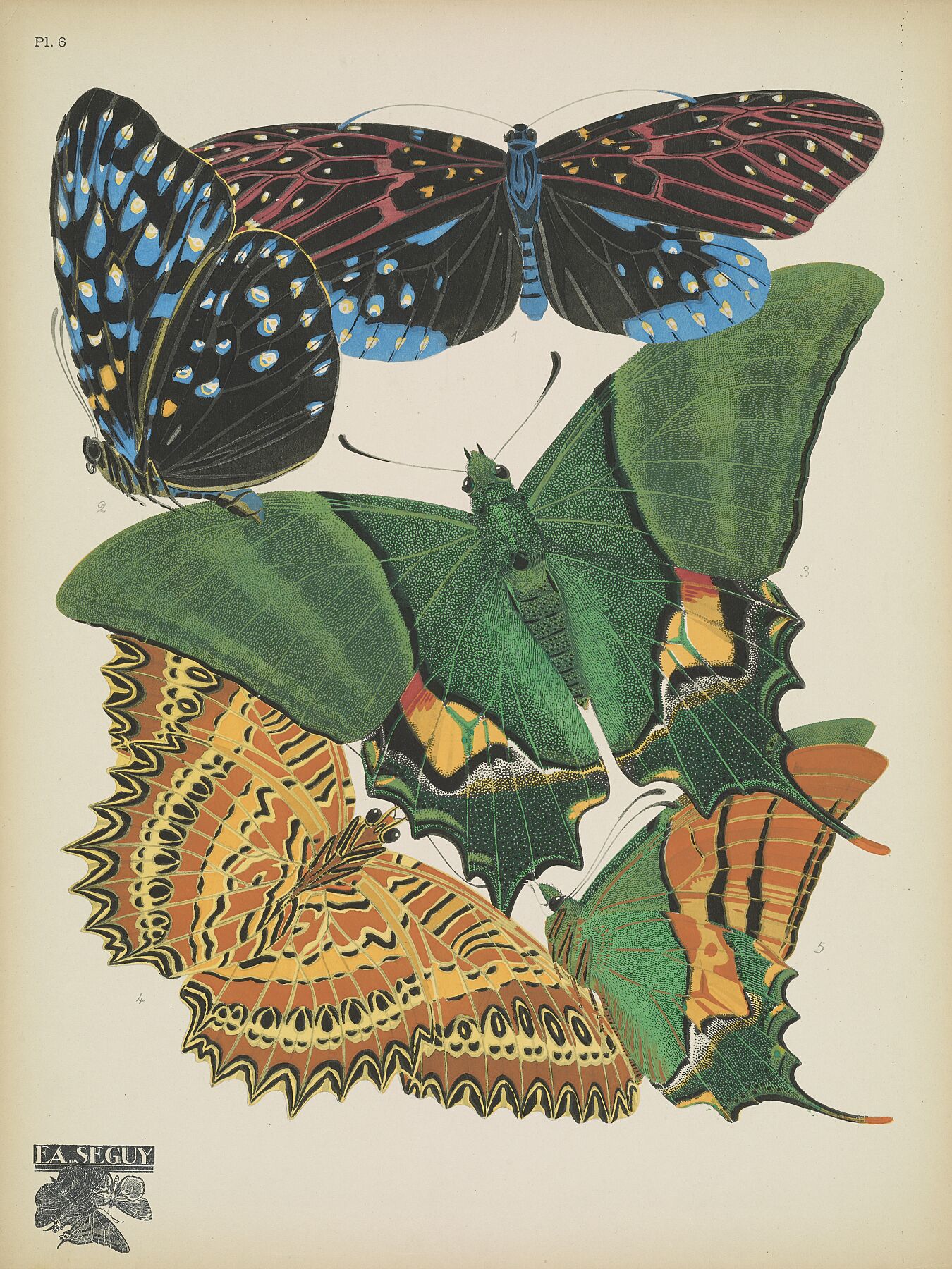 Papillons (planche 6) d'Emile-Allain Séguy - 1925 