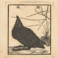 Crow Looking up at a Mosquito by Jan Mankes - 1918
