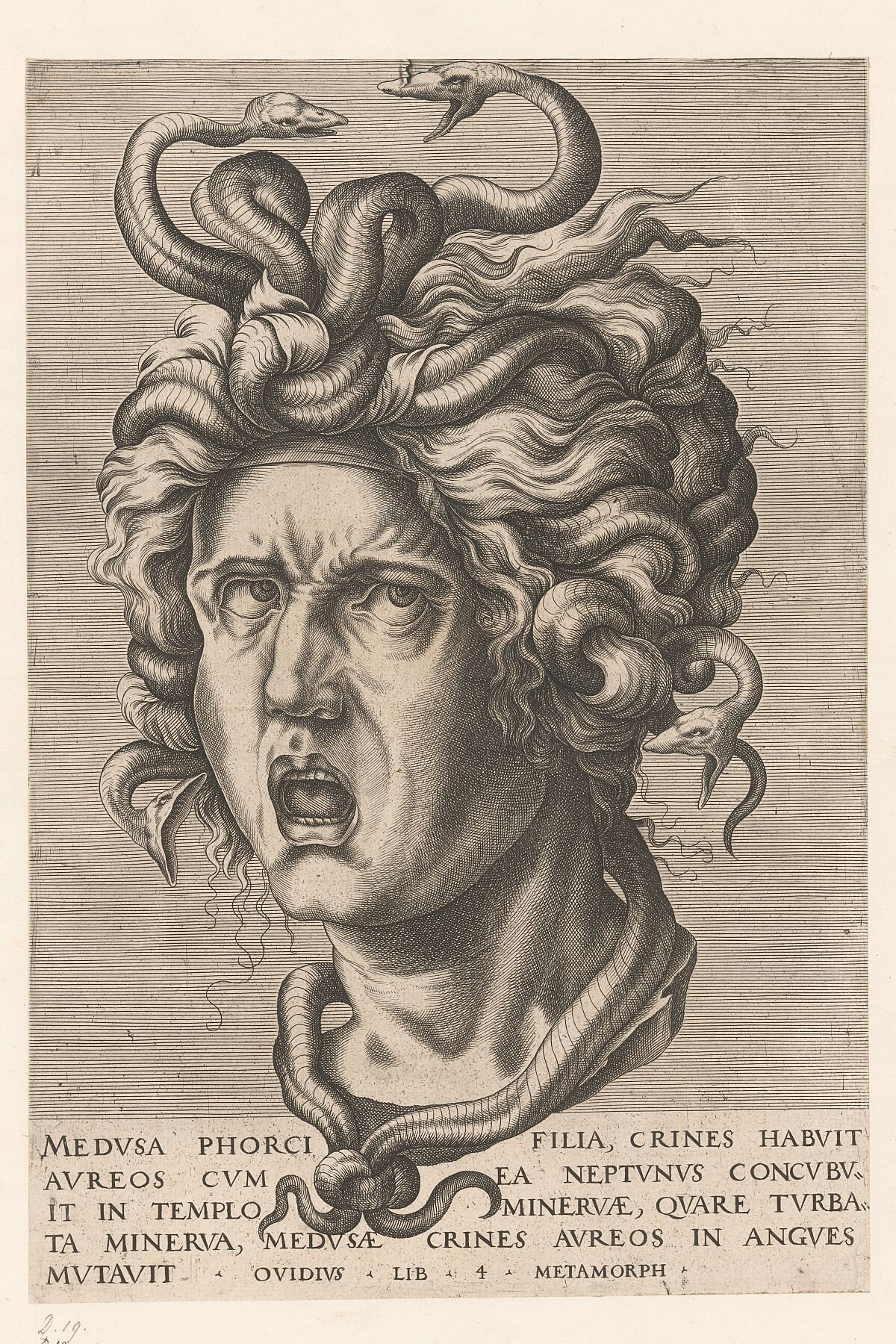 Products Medusa, anonymous, 1500 - 1599 SuccessActive Title
