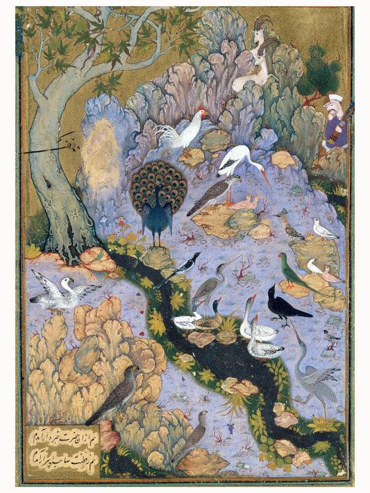 El concurso de los pájaros por Habiballah de Sava - c. 1600 