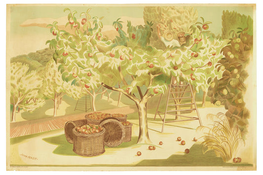 Poster, 'Fruit Gardens and Orchard', 1930, United Kingdom, by John Nash, Eyre & Spottiswoode Ltd., H.M. Stationery Office, Empire Marketing Board