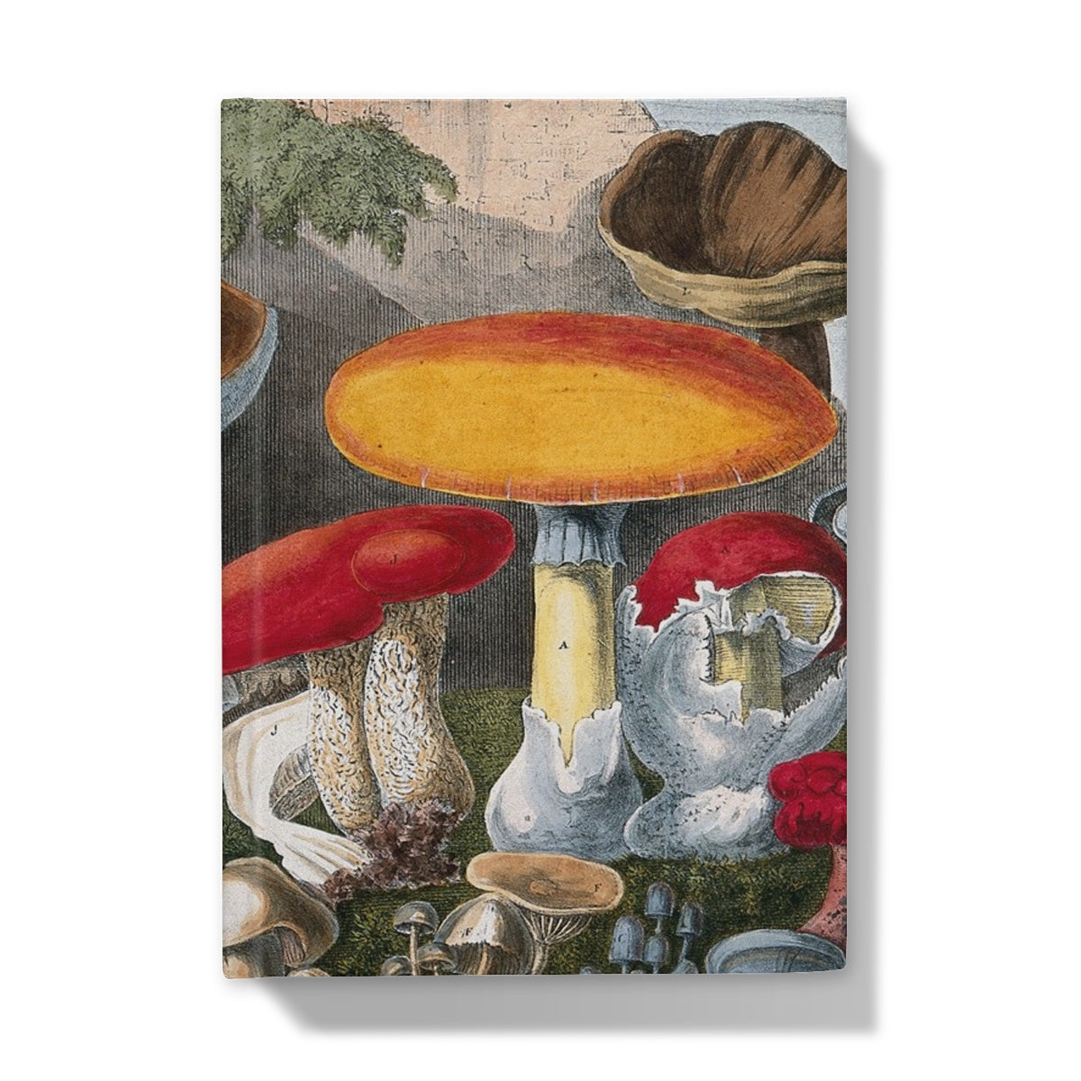 Edible Fungi by A. Cornillon, ca. 1827, after Prieur - Hardback Journal