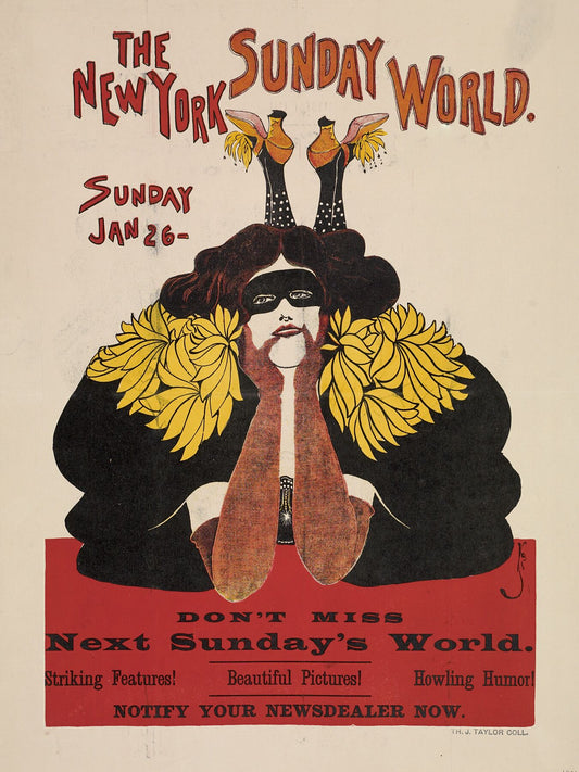 Frank King : The New York Sunday World. Sunday Jan. 26 1896