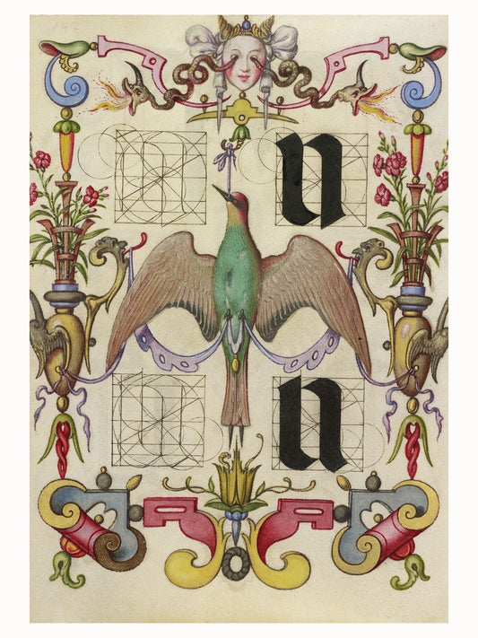 Guía para construir las letras u y v de Joris Hoefnagel - 1591