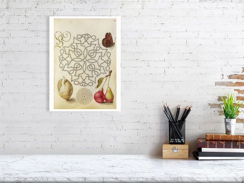 Butterfly, Marine Mollusk and Pear by Joris Hoefnagel