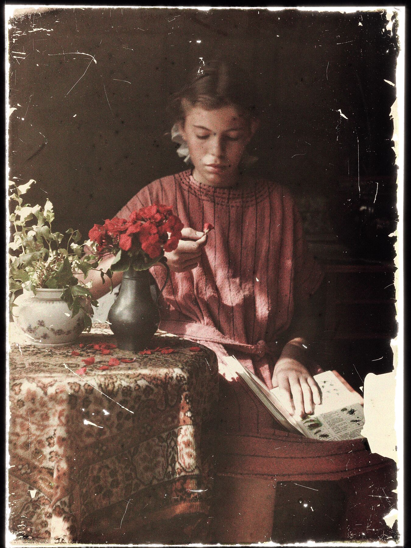Girl Determining Flower Petals - 1907 - 1930