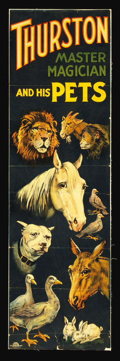 Thurston, maestro mago y sus mascotas - 1898