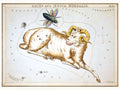 Urania’s Mirror , “Aries and Musca Borealis” by Sidney Hall - 1825