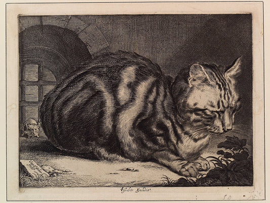 The Large Cat by Cornelis Visscher - c.1650