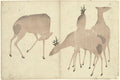 Vier Herten (Four Deer)  Nakamura Hôchû - 1826