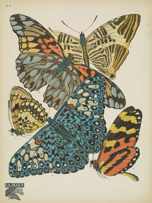 Papillons (plate 3) by Emile-Allain Séguy, 1925