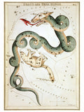 Le Miroir d'Uranie, Draco et la Petite Ourse de Sidney Hall - 1825