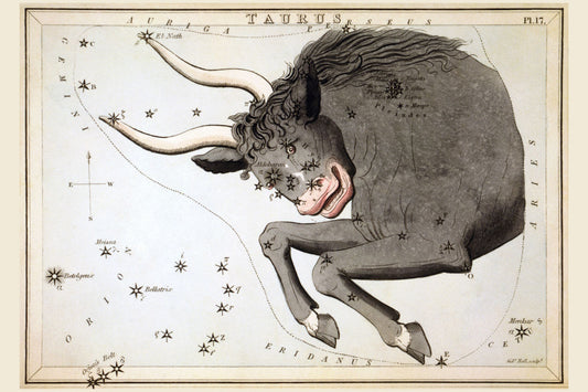 Urania's Mirror - Taurus by Sidney Hall - 1825