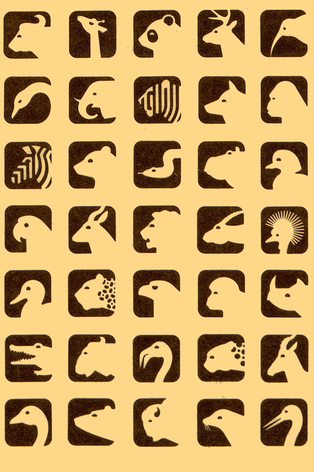Zoo Animal Pictograms, National Zoo Pamphlet, Washington, D. C. - 1978 ...