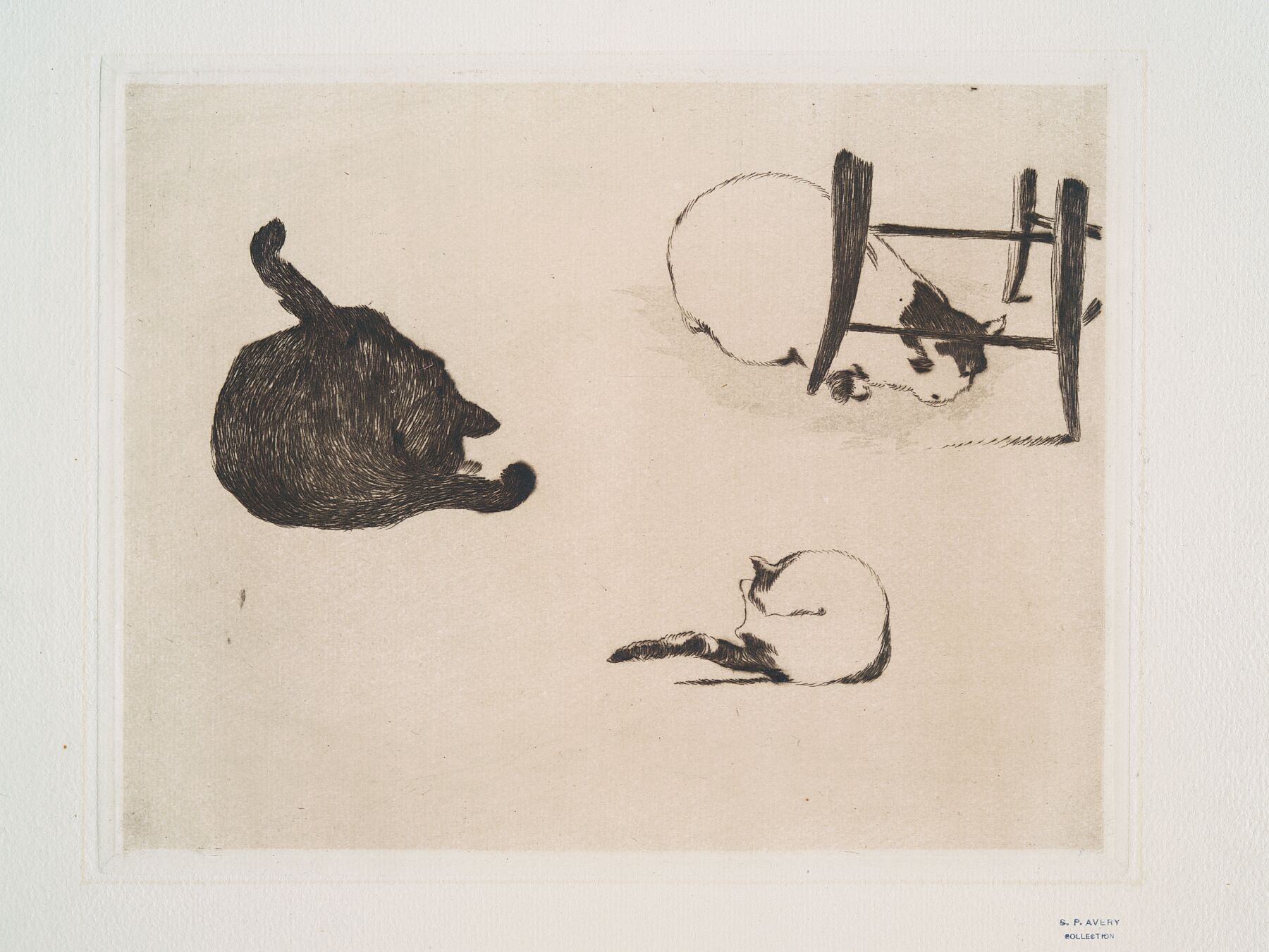 Les Chats by Édouard Manet - 1869