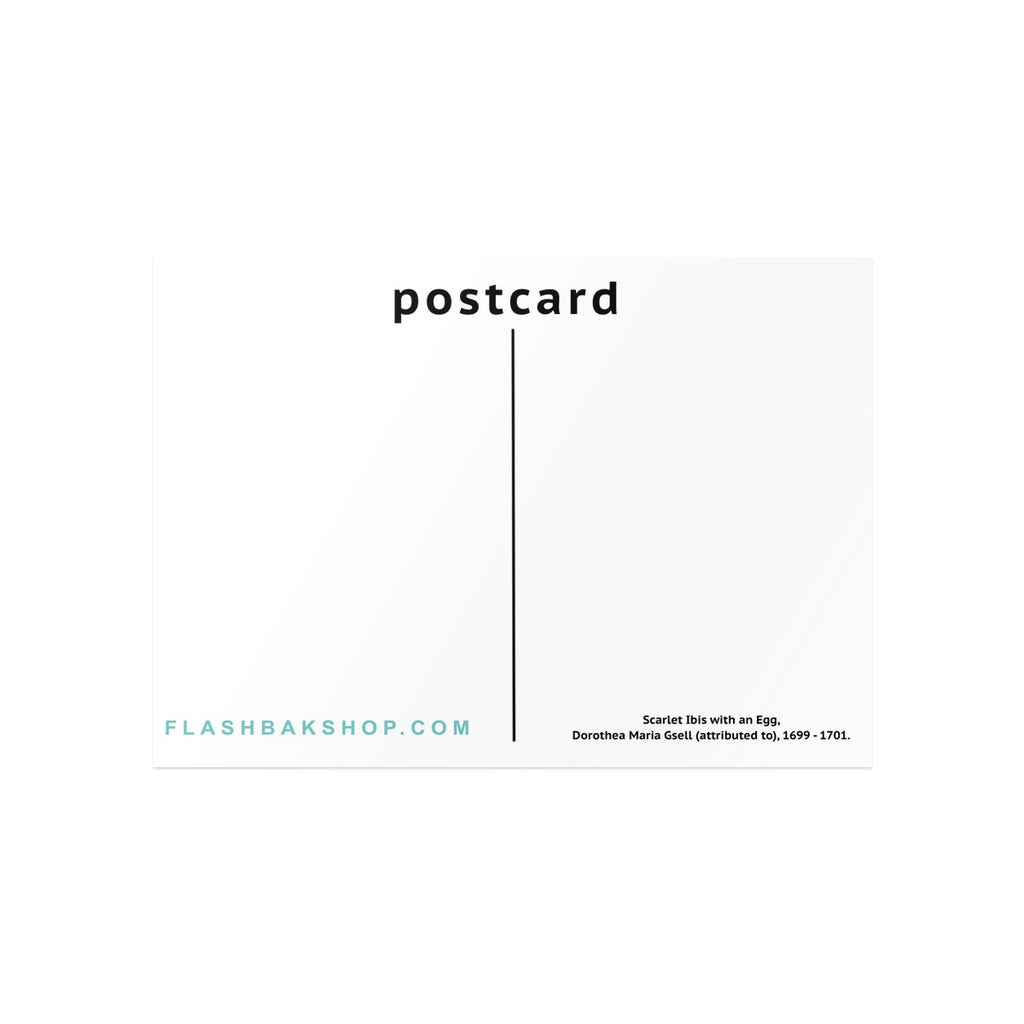 Scarlet Ibis with an Egg by Dorothea Maria Gsell, 1699 - Postcard