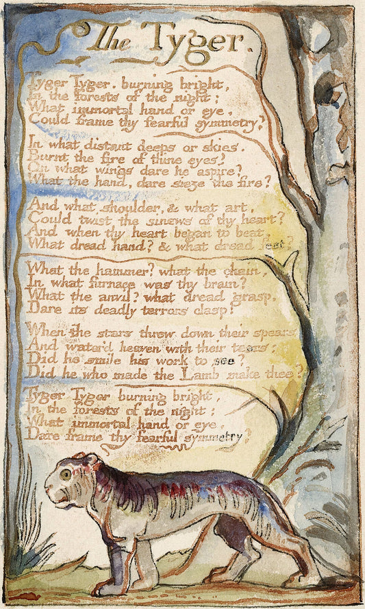 Songs of Innocence and of Experience, Plate 36, The Tyger (Bentley 42) William Blake - 1789 to 1794